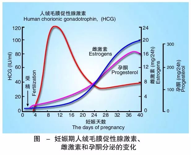 懷孕期間HCG低怎么辦？