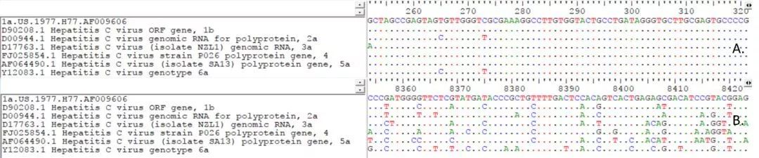 A.5’端非編碼區(qū)序列；B.NS5序列